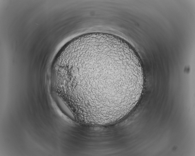 X0000094361515200711301413