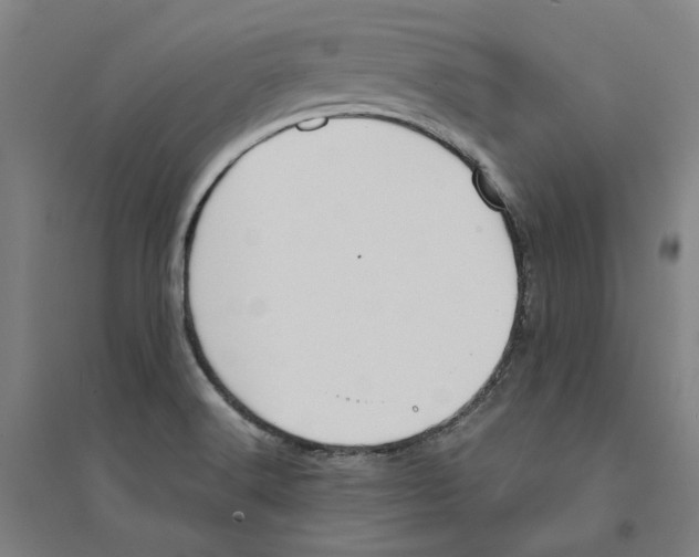 X0000094361516200711301413