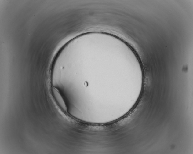 X0000094361517200711301413