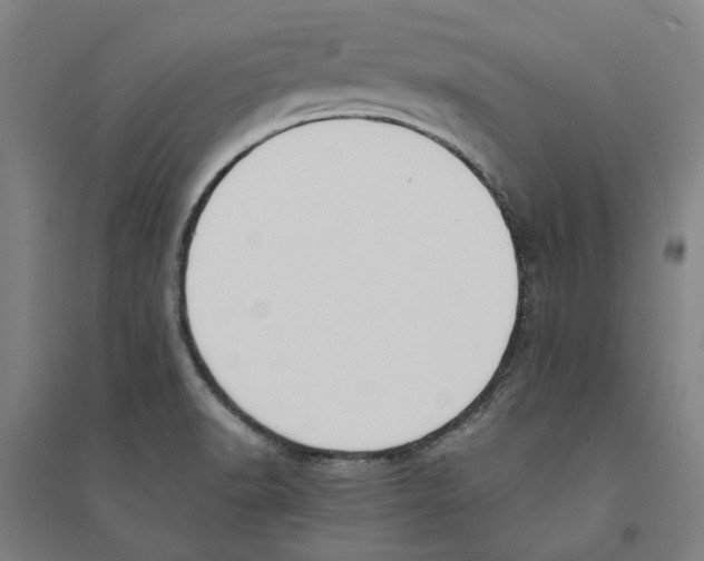 X0000094361518200711301413