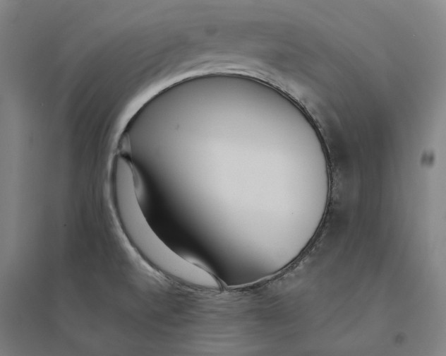 X0000094361520200711301413