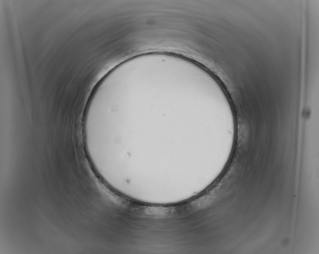 X0000094361521200711301413