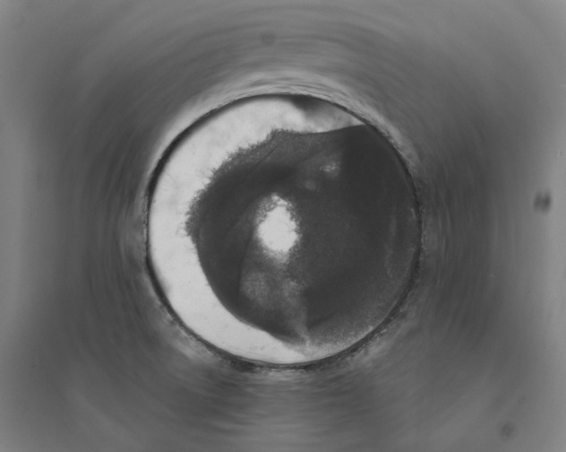 X0000094361522200711301413