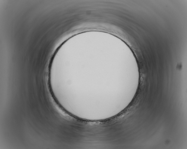 X0000094361523200711301413