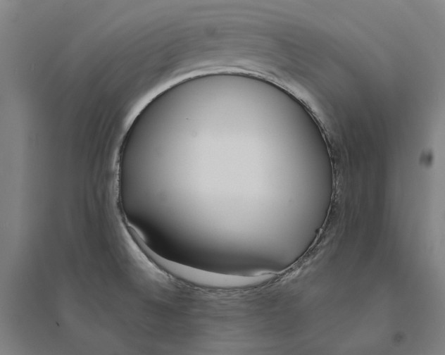 X0000094361524200711301413