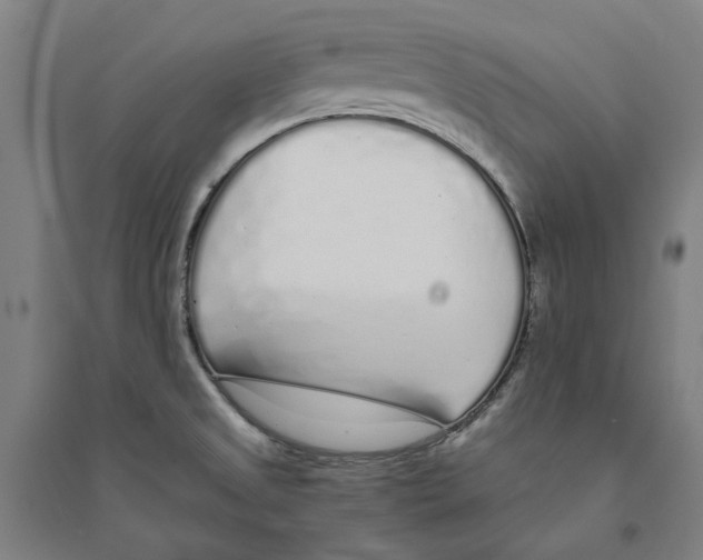X0000094361525200711301413