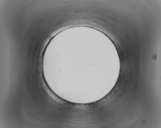 X0000094361526200711301413