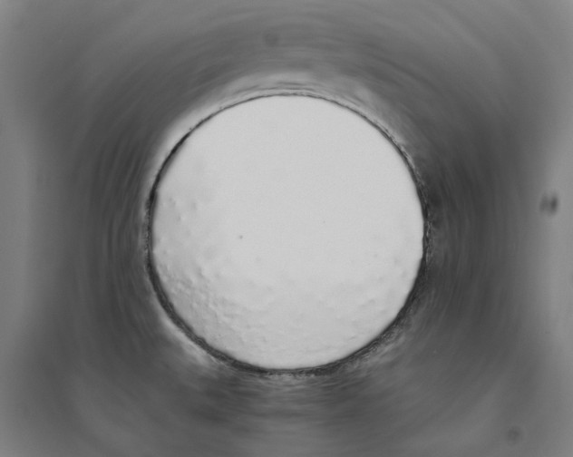 X0000094361527200711301413
