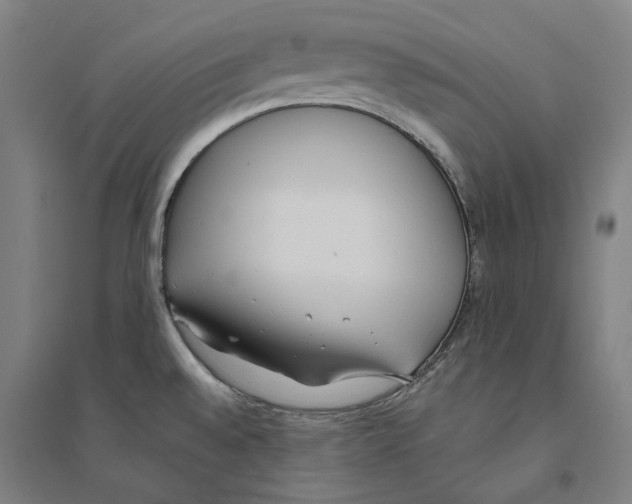 X0000094361528200711301413