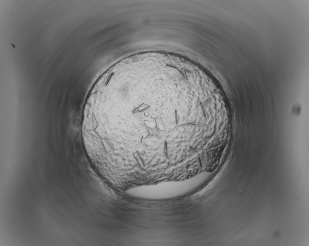 X0000094361529200711301413