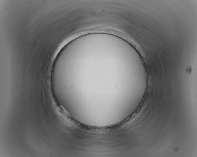 X0000094361530200711301413