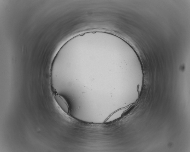 X0000094361532200711301413