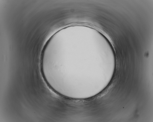 X0000094361533200711301413