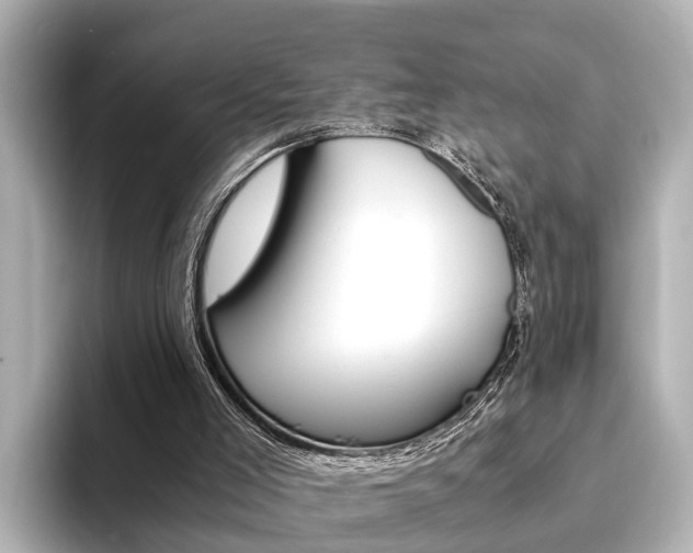 X0000094370005200711020802