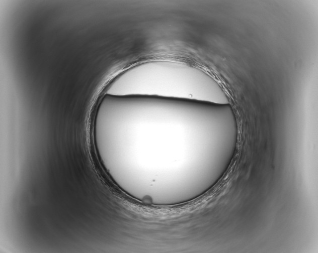 X0000094370006200711020802