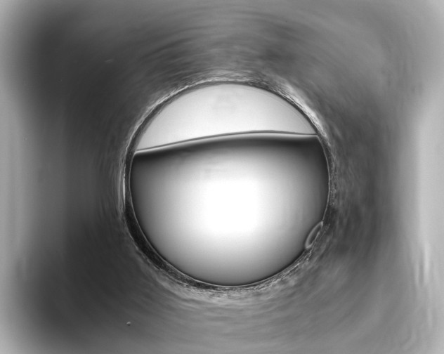X0000094370011200711020802