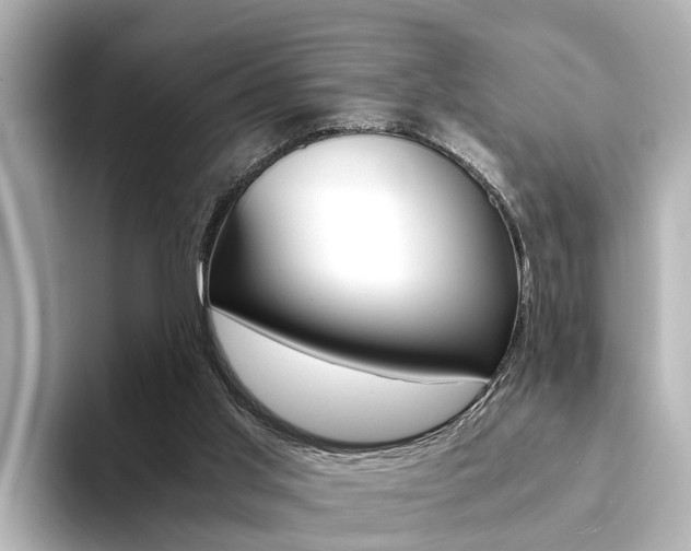 X0000094370013200711020802