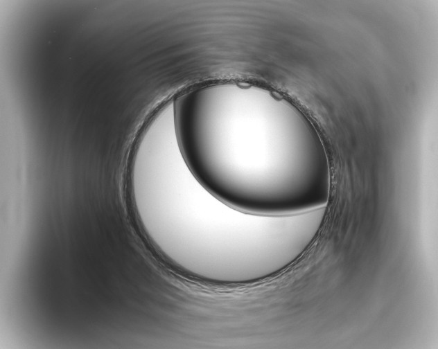 X0000094370015200711020802