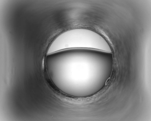 X0000094370019200711020802