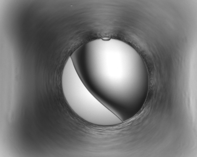 X0000094370025200711020802