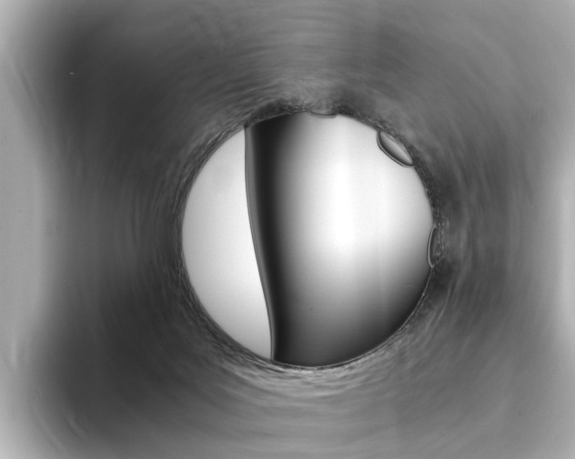 X0000094370027200711020802