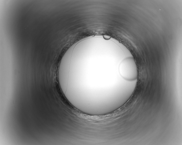 X0000094370030200711020802