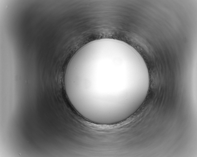 X0000094370034200711020802