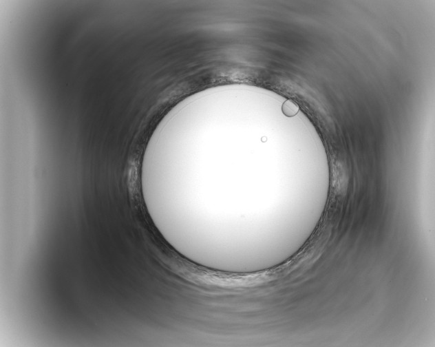 X0000094370036200711020802