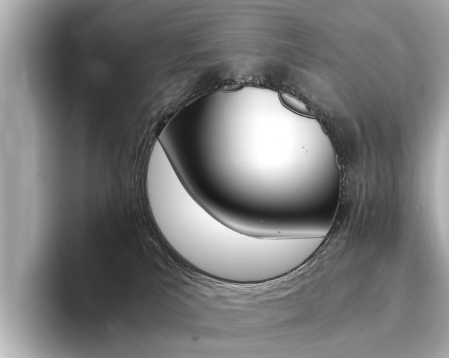 X0000094370039200711020802