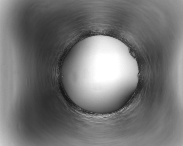 X0000094370040200711020802