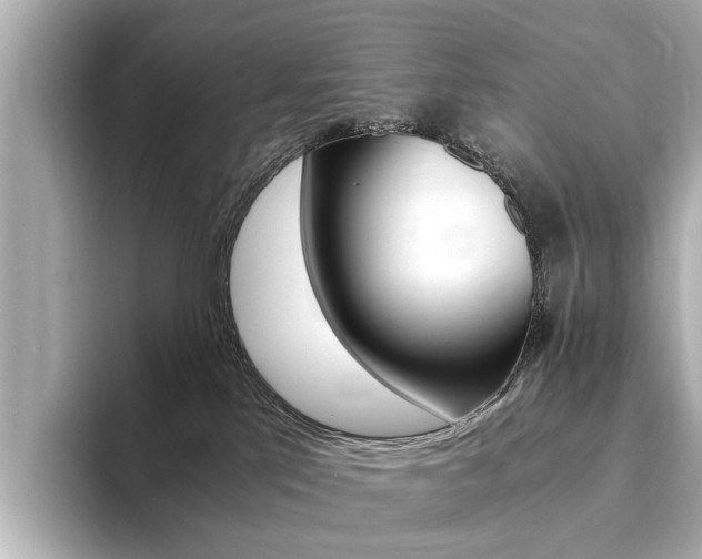 X0000094370041200711020802