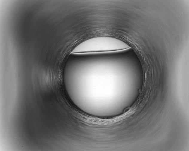 X0000094370048200711020802