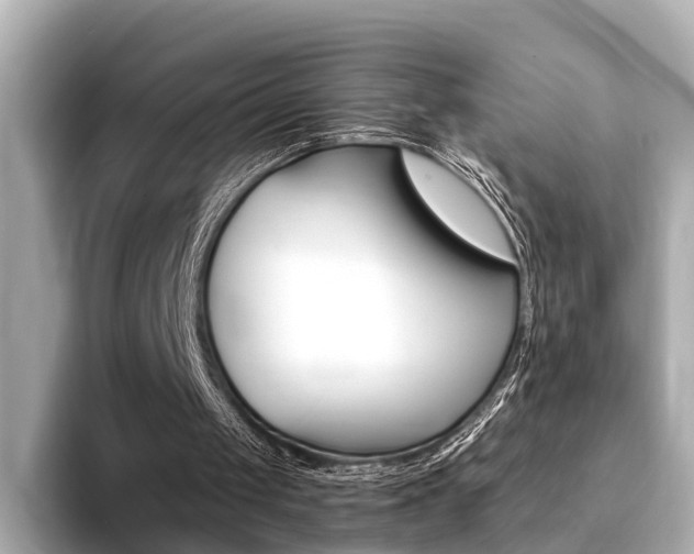 X0000094370049200711020801