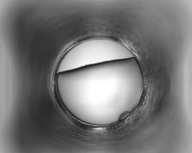 X0000094370053200711020801