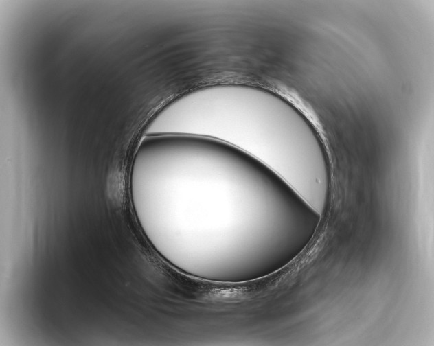 X0000094370057200711020801