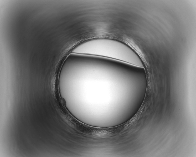 X0000094370058200711020801