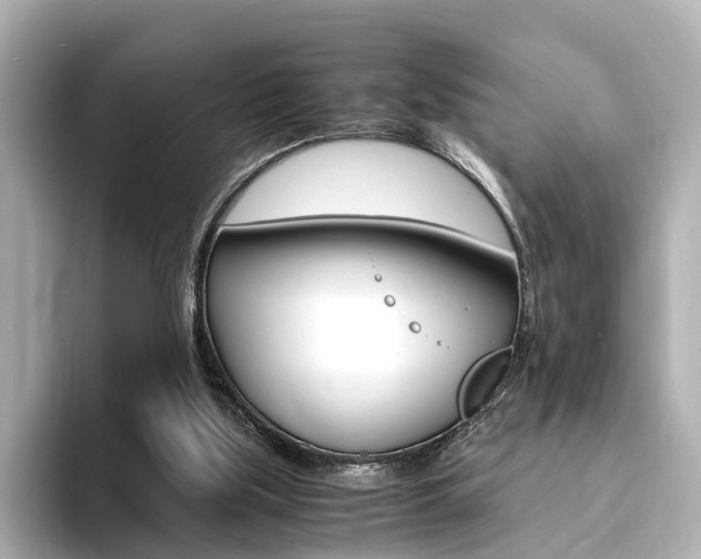 X0000094370059200711020801