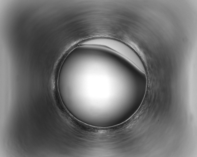 X0000094370060200711020801