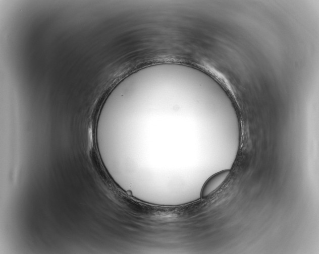 X0000094370061200711020801