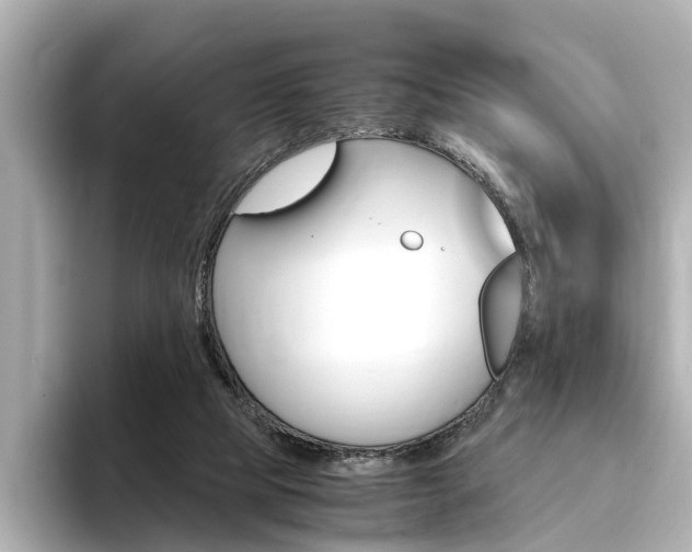 X0000094370065200711020802