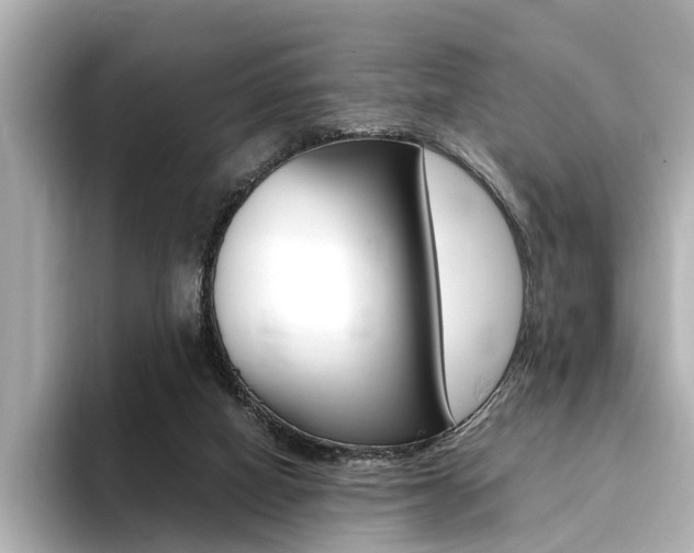 X0000094370066200711020802