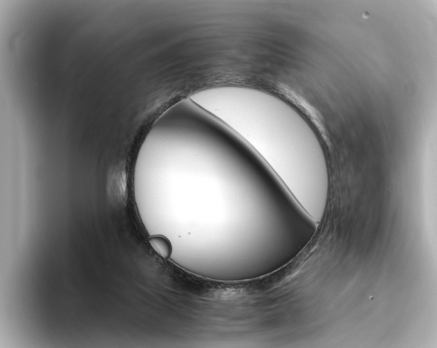 X0000094370067200711020802
