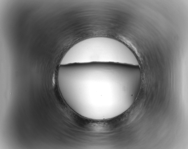 X0000094370069200711020802