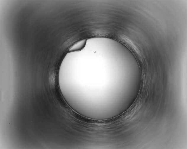 X0000094370071200711020802