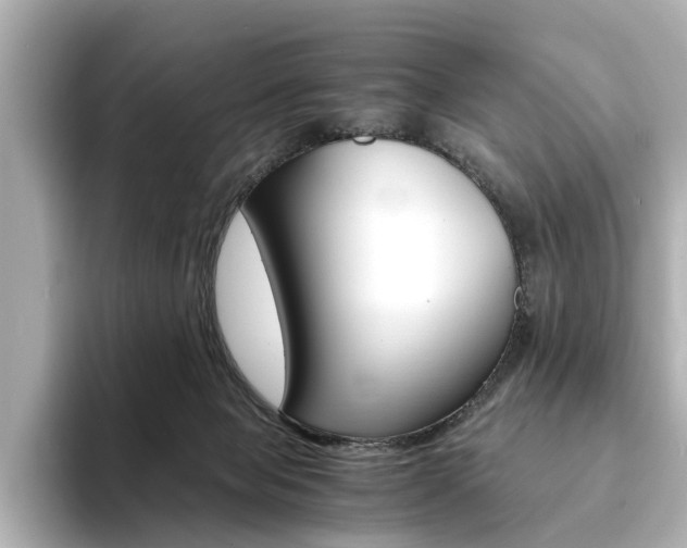 X0000094370077200711020802