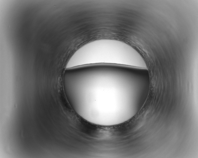 X0000094370079200711020802