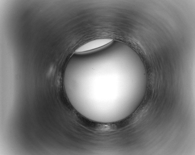 X0000094370083200711020802