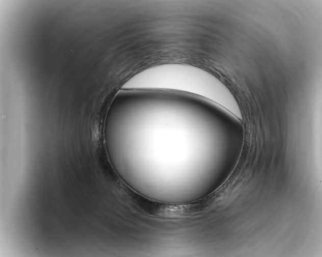 X0000094370084200711020802