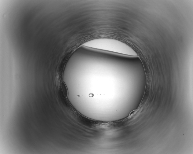X0000094370086200711020802