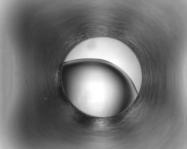 X0000094370088200711020802